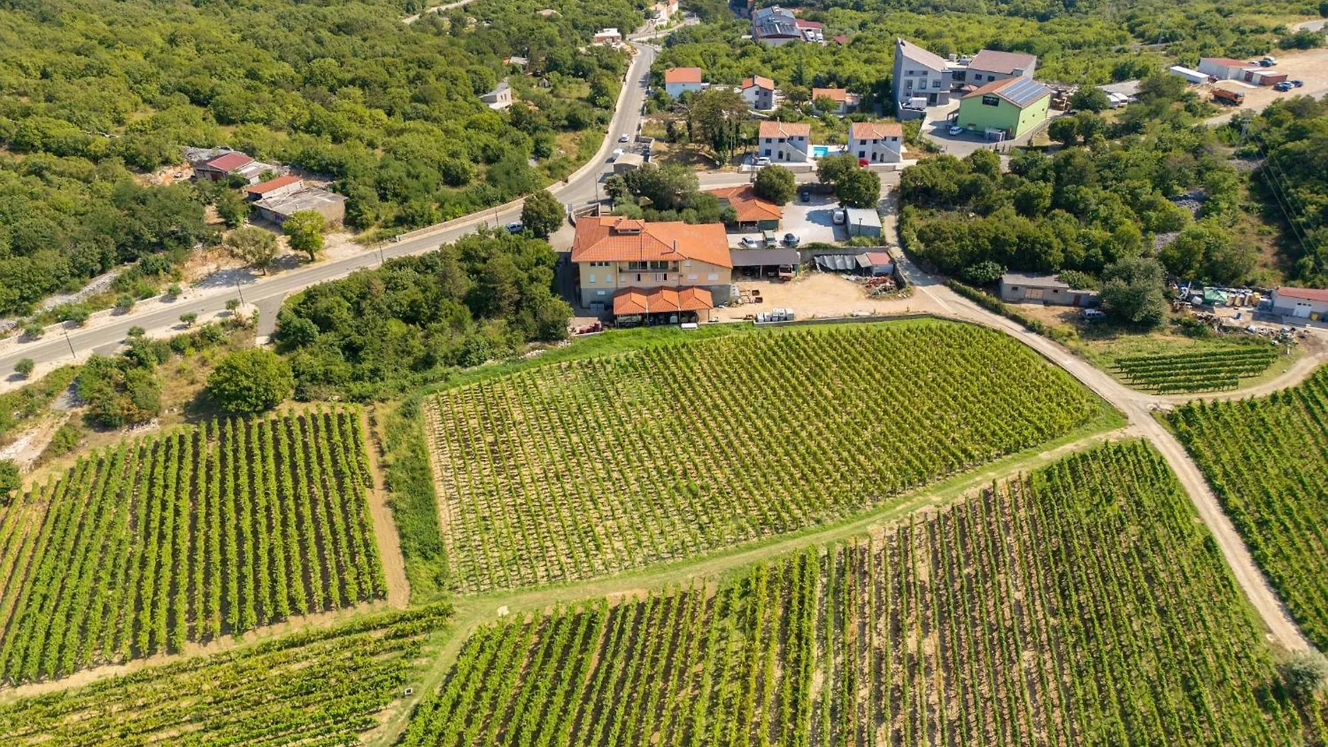Vineyard Apartment Vrbnik