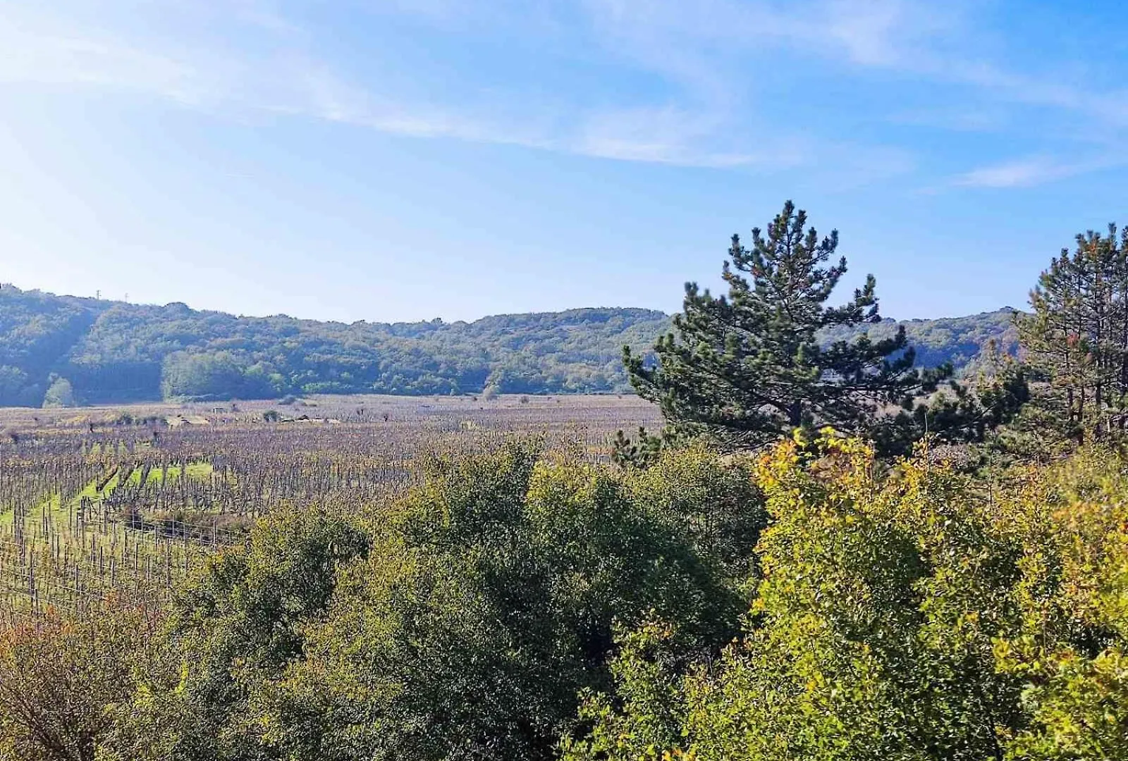 Vineyard Apartment Vrbnik