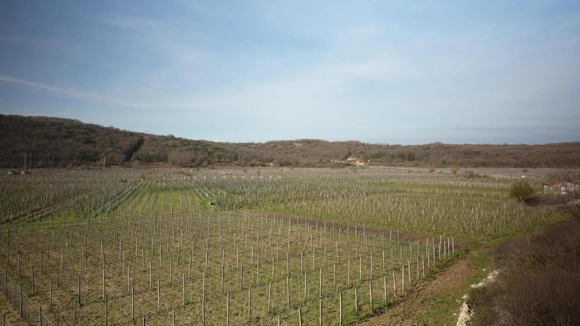 Vineyard Apartment Vrbnik
